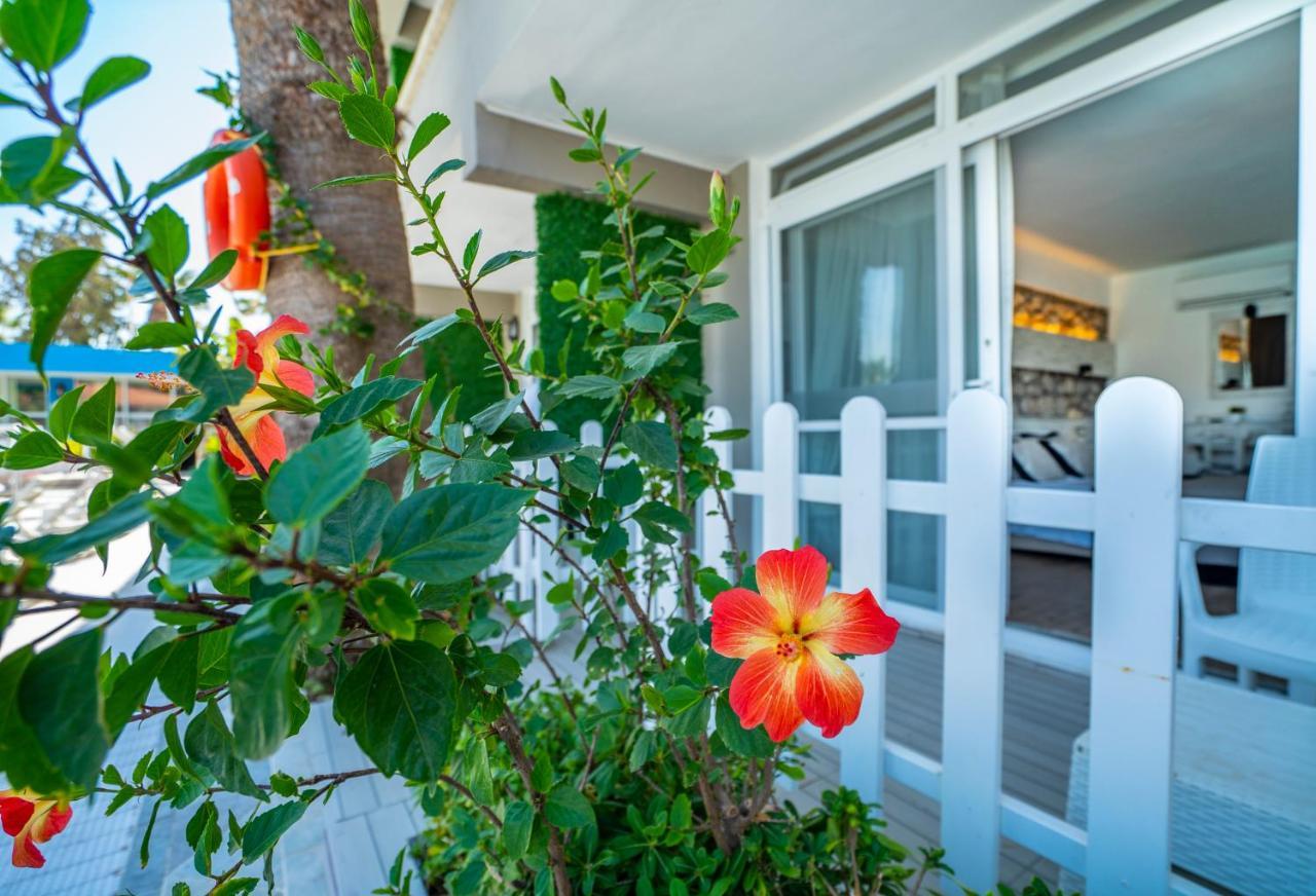 Sifne Thermal Otel Çeşme 外观 照片